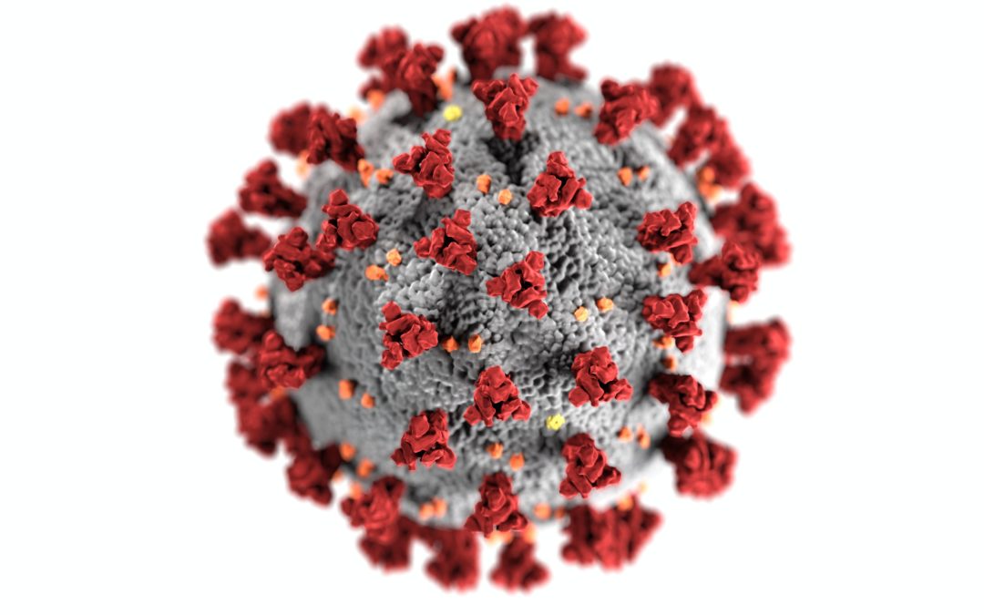 Coronavirus - Les astuces de Ré création de Céret pour occuper nos